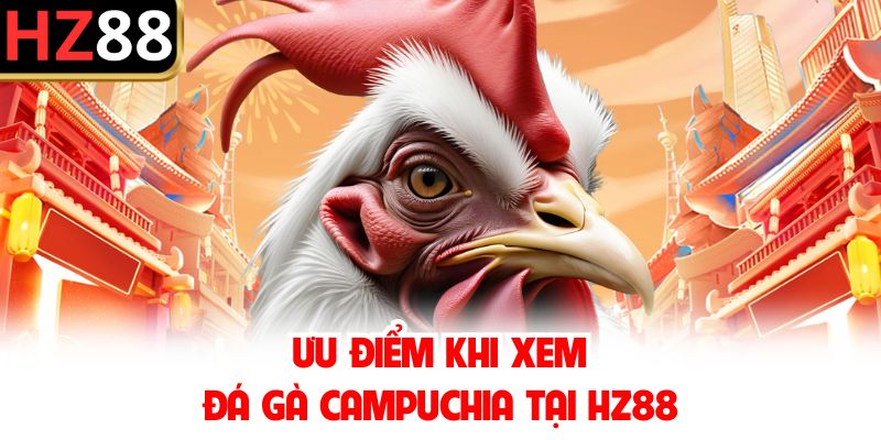 Ưu điểm khi xem đá gà Campuchia tại HZ88